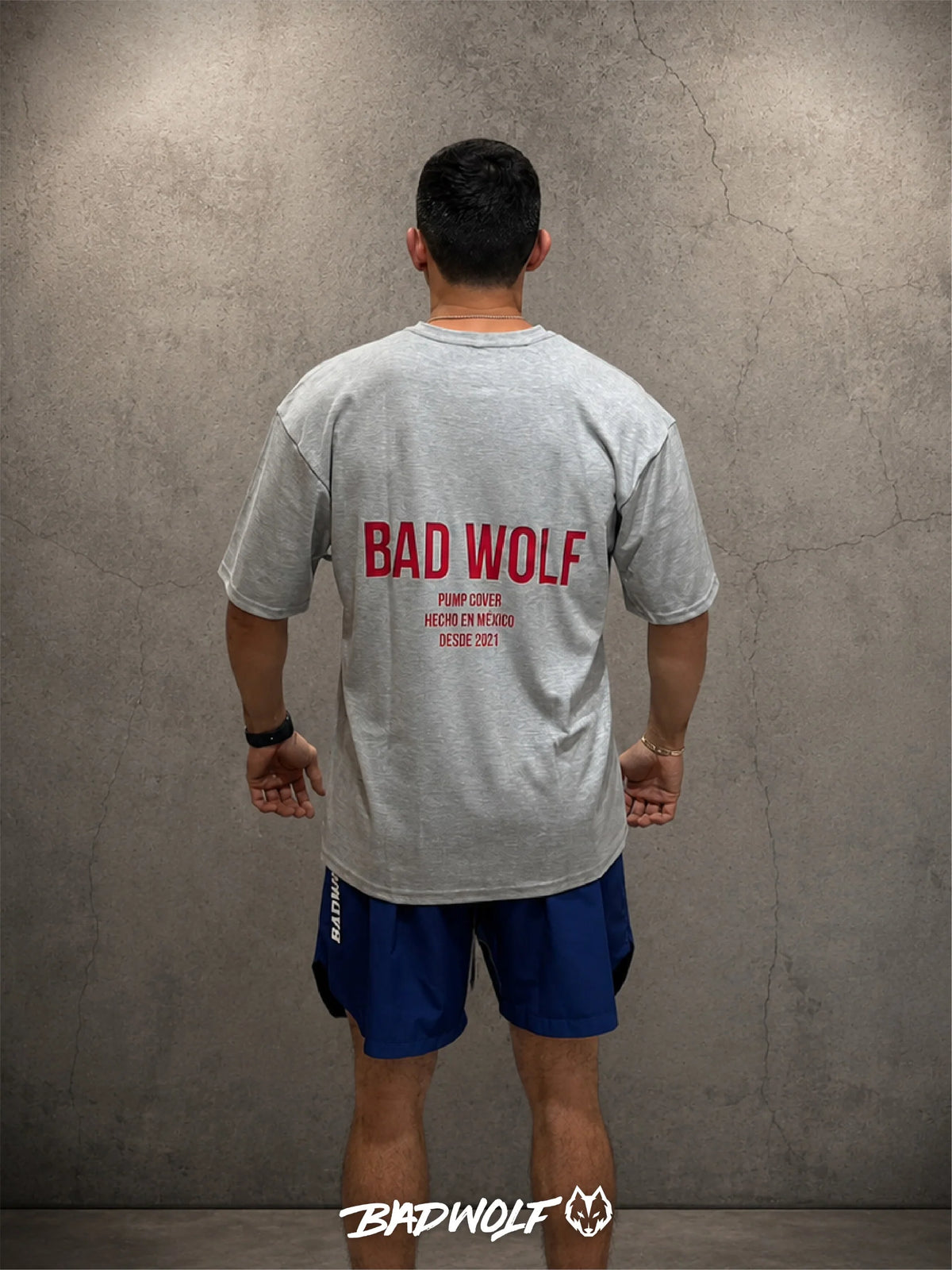 BAD WOLF OVER PUMP COVER GRIS TINTO